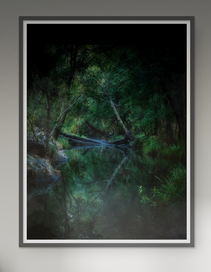 Print 1 - Nature in Reflection, Enoggera Creek